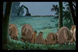 La Guerra de los Mapaches